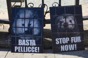 MILANO, BASTA PELLICCE! LA MORTE NON È MODA